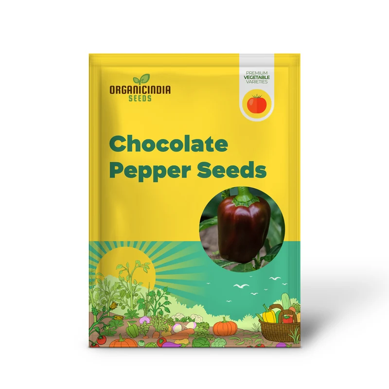 Chocolate Beauty Pepper Seeds For Planting and Harvest Beautiful Vegetable Peppers