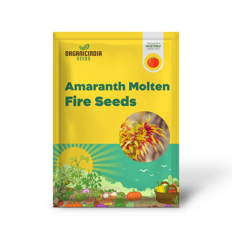 Amaranth - Molten Fire Seeds for Stunning Garden Planting | Premium Quality Seeds