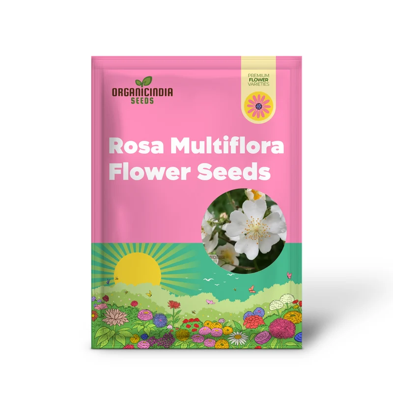 Rosa Multiflora Flower Seeds For Planting, Learn How to Plant and Grow Beautiful Clusters of White Roses