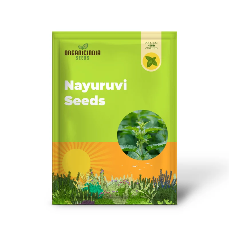 Nettle Nayuruvi Seeds for Planting – Healthy, Nutritious, Easy-Grow Herb Variety