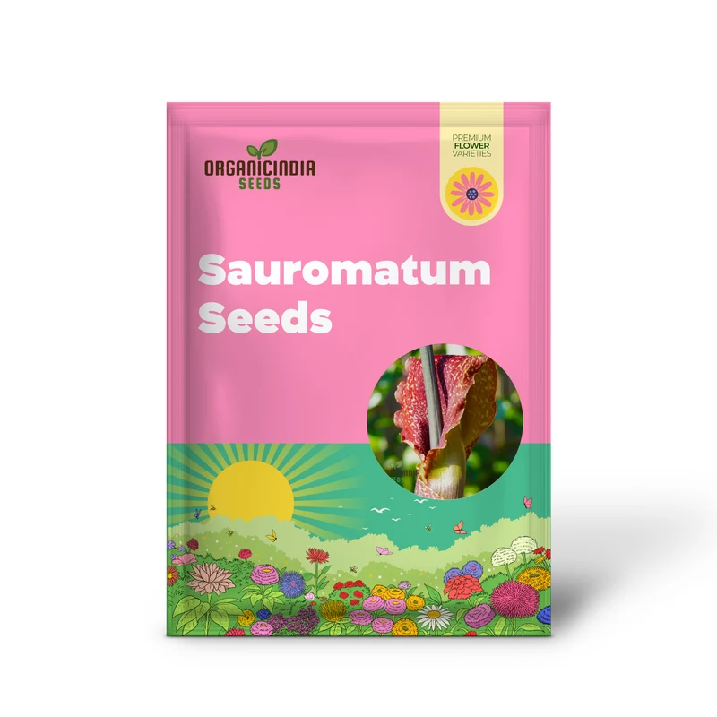 Sauromatum Venosum (Bulbils) Seeds for Gardening Enthusiasts | Rare Arum Lily Bulbils for Planting and Growing Exotic Flowers