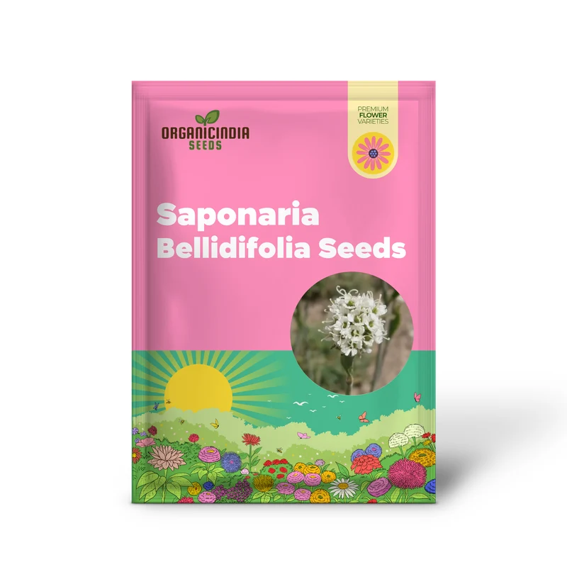 Saponaria Bellidifolia Seeds for Gardening Enthusiasts | Buy Organic Flower Seeds Online