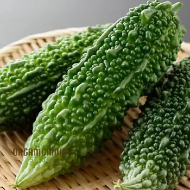 Bitter Melon Jounpuri Seeds - Premium Quality for Your Garden | Buy Seeds Online