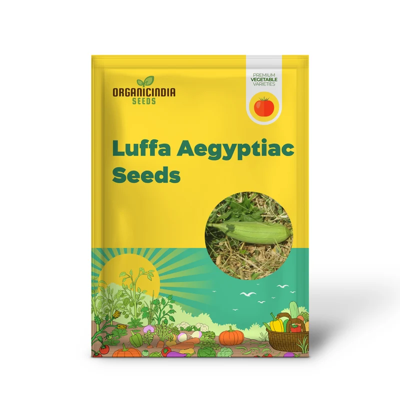 Luffa Aegyptiaca Vegetable Seeds, Premium Quality Gardening Seeds, Grow Your Own Exotic Sponge Gourd