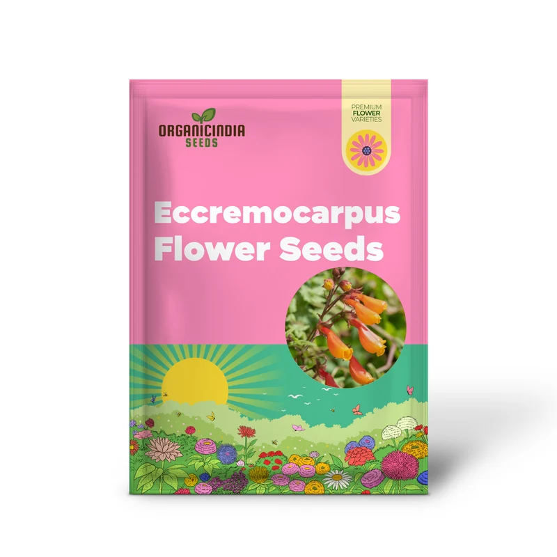 Eccremocarpus Scaber 'Burst of Orange' Flower Seeds For Planting, Adding Bold Color to Your Garden