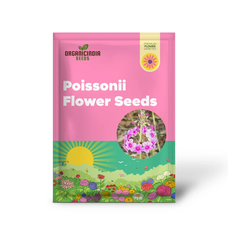 Primula Poissonii Flower Seeds For Planting, Adding Lush Purple Blooms to Your Garden
