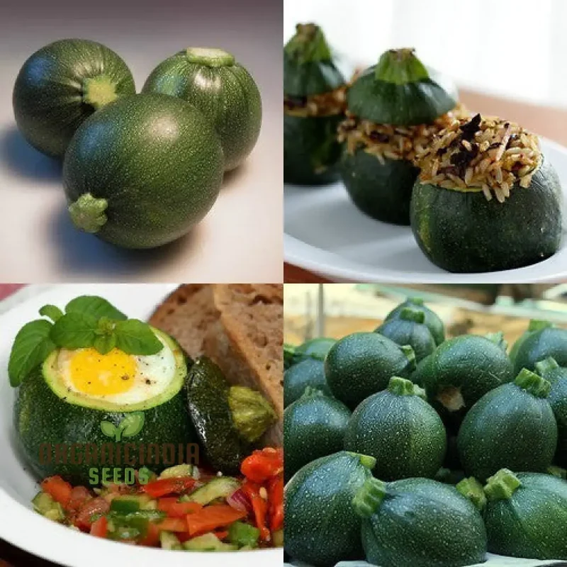 COURGETTE EIGHT BALL F1 Seeds - Premium Gardening Seeds for Your Garden - Quality and Freshness Guaranteed