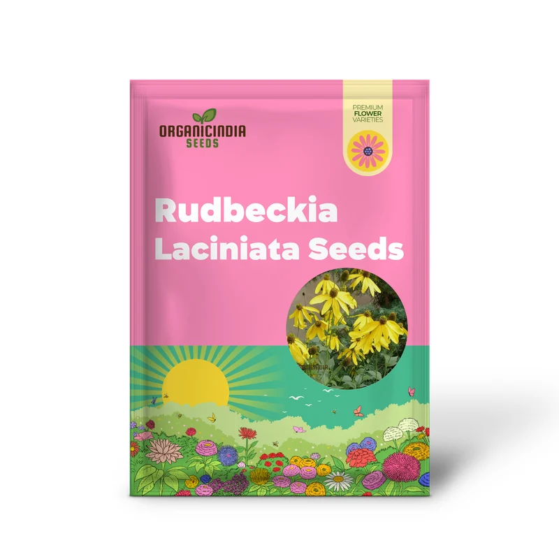 Rudbeckia Laciniata Seeds for Planting, Premium Quality Seeds for Vibrant Gardens