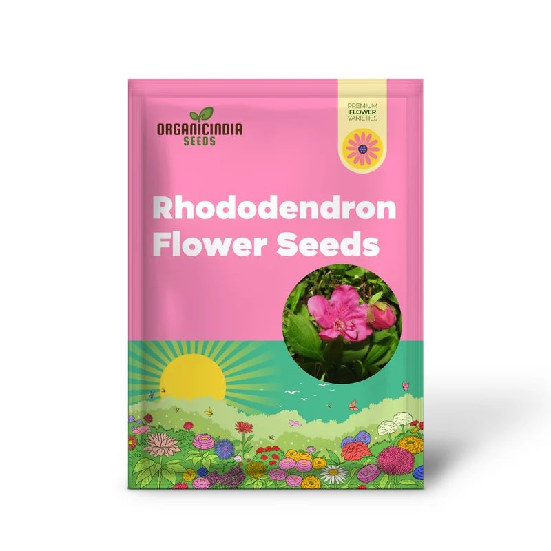 Rhododendron Camtschaticum Flower Seeds For Planting, Cultivating Hardy and Beautiful Arctic Blooms