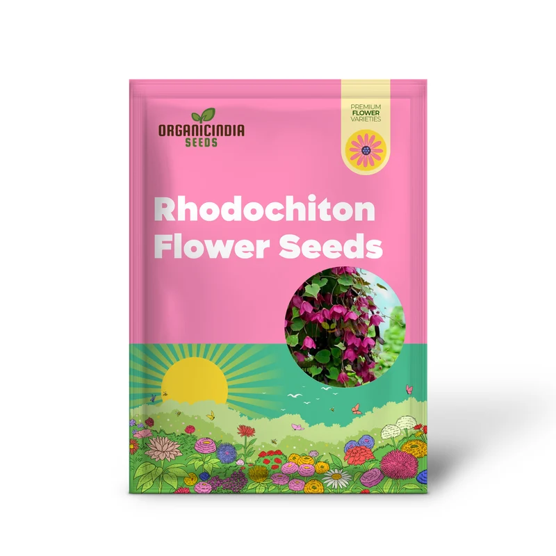 Rhodochiton Atrosanguineum Flower Seeds For Planting, Growing Stunning Red Lantern Blooms for Your Garden