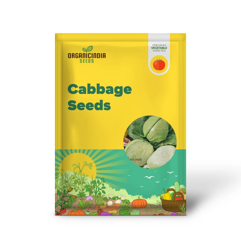 Cabbage Golden Acre Seeds for Gardening Enthusiasts - Buy Organic Seeds Online