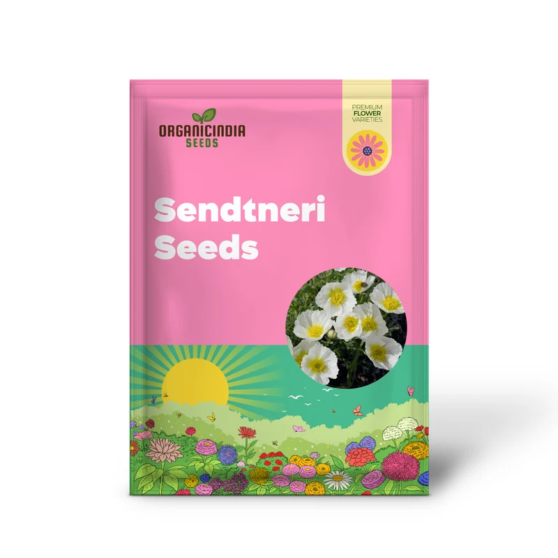 Papaver Sendtneri Seeds for Exquisite Garden Blooms | Rare Perennial Flower Seeds for Gardening Enthusiasts