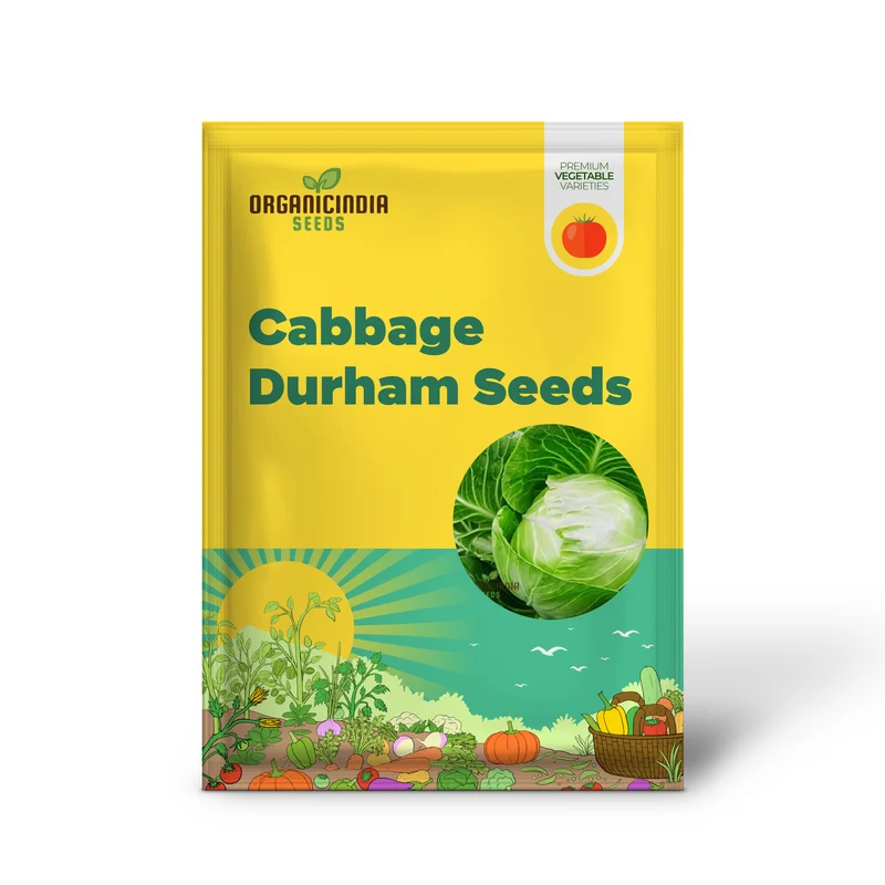 CABBAGE DURHAM EARLY Seeds | Premium Garden Seeds for Your Best Harvest