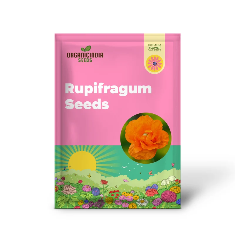 PAPAVER RUPIFRAGUM 'ORANGE FEATHERS' Seeds for Vibrant Gardening Enthusiasts | Premium Papaver Seeds for Your Garden's Orange Charm and Natural Beauty
