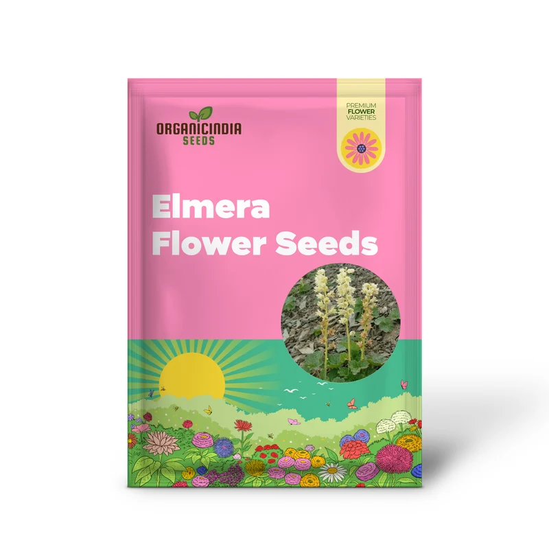Elmera Racemosa Flower Seeds For Planting, Unique Blooms for Your Garden