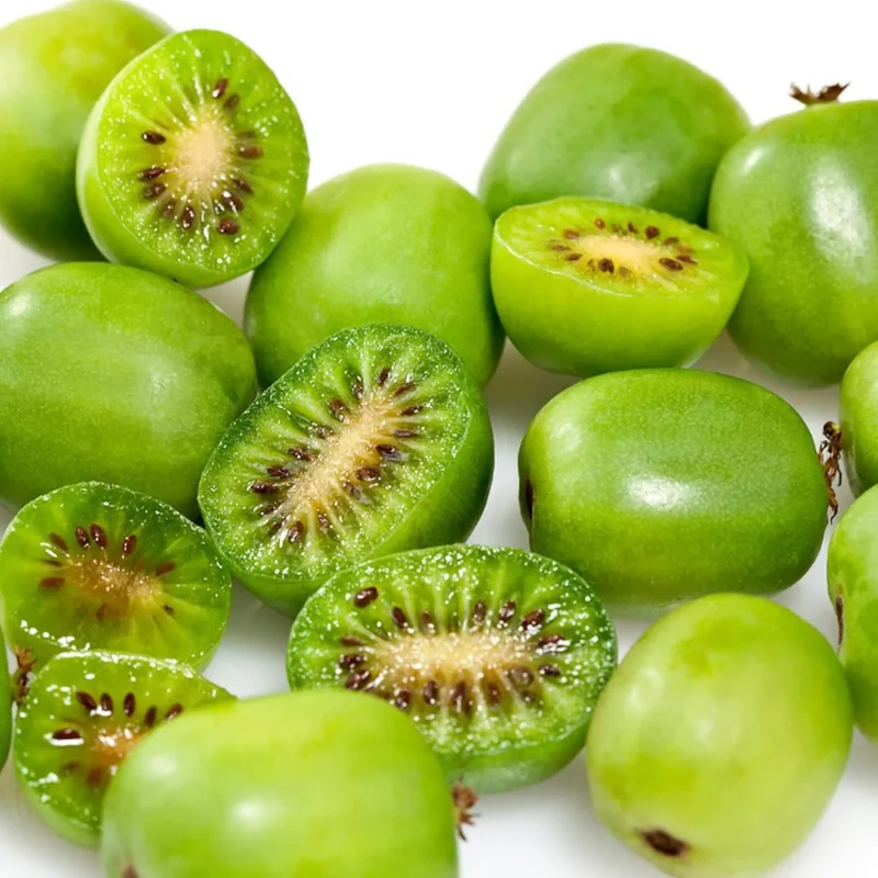 Kiwi Berry (Actinidia Arguta) Seeds for Gardening Enthusiasts | Grow Your Own Hardy Kiwi Vine at Home