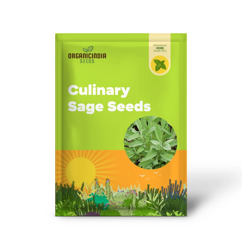 Green Culinary Sage Seeds – Aromatic Garden Herb for Cooking