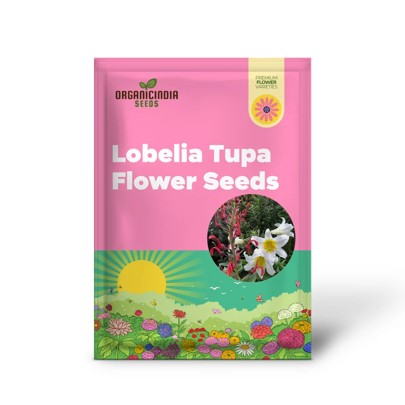 Lobelia Tupa Flower Seeds for Planting, Premium Quality Gardening Seeds