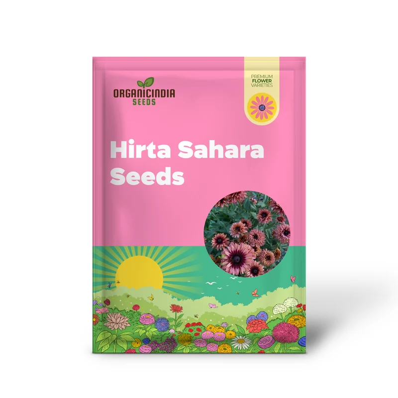 Rudbeckia Seeds (Rudbeckia Hirta Sahara Seeds) - Warm Multicolor Blooms for Gardening