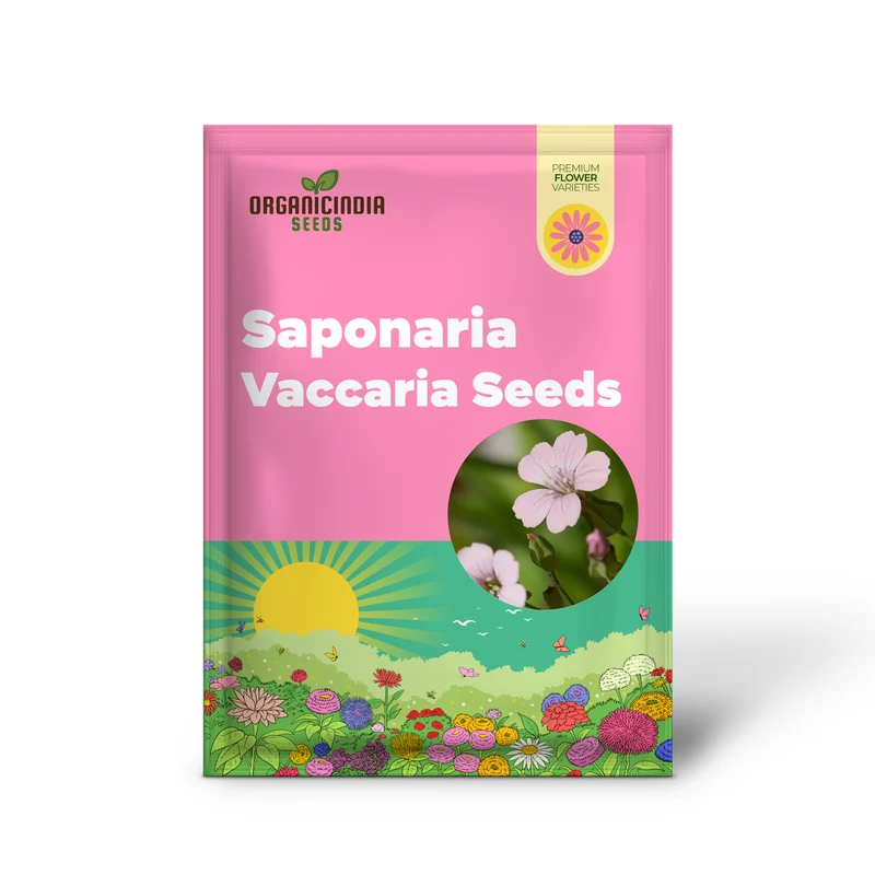 Saponaria Vaccaria 'Pink Beauty' Seeds - Gardening Delight for Your Home Garden, Premium Quality Organic Seeds