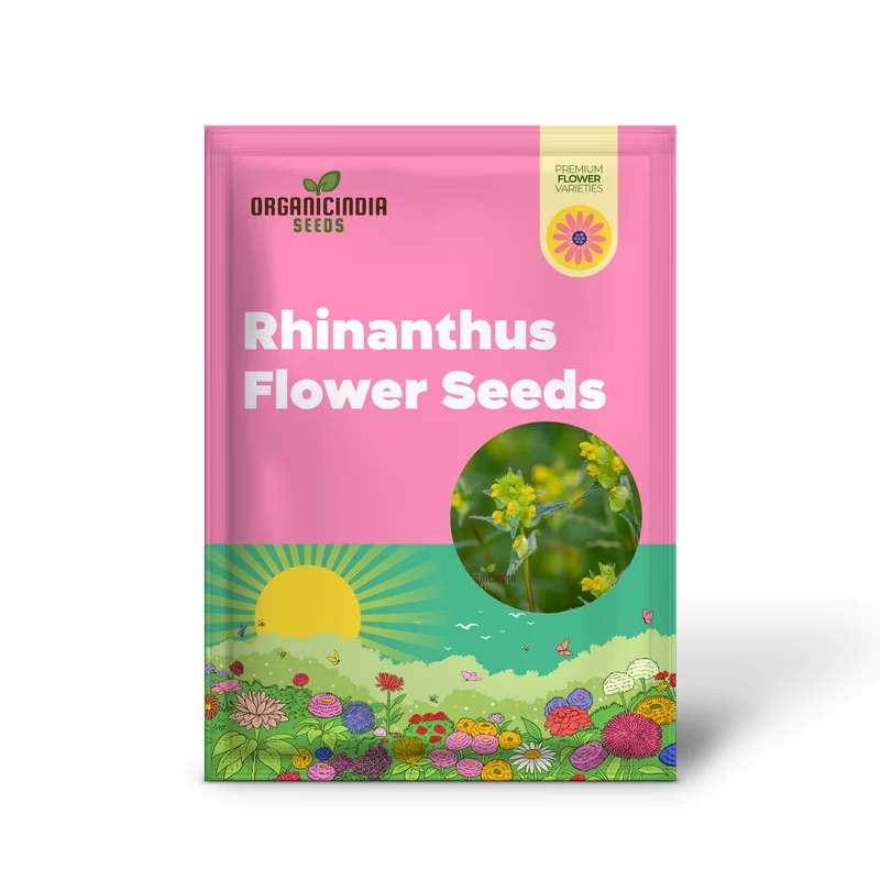 Rhinanthus Minor Flower Seeds For Planting, Adding Charming Wildflower Beauty to Your Garden