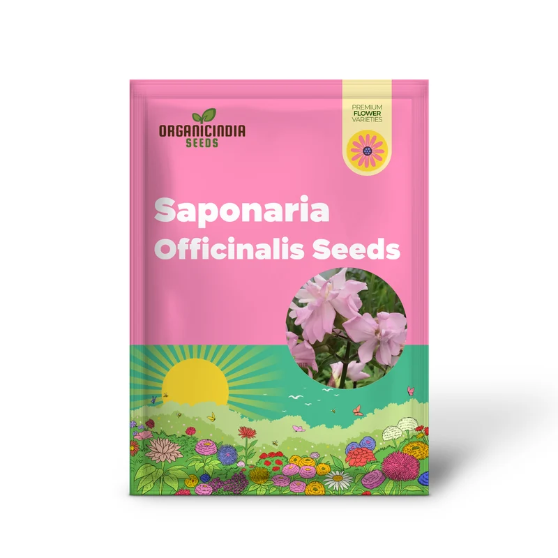 Saponaria Officinalis Rosea Plena Seeds for Gardening
