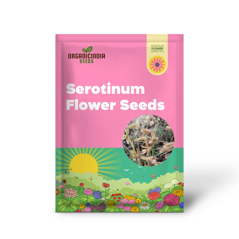Dipcadi Serotinum Flower Seeds For Planting, Embracing Wild Beauty in Your Garden