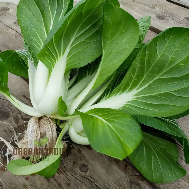 Organic White Pak Choi Seeds for Your Gardening Needs | Buy Seeds Online