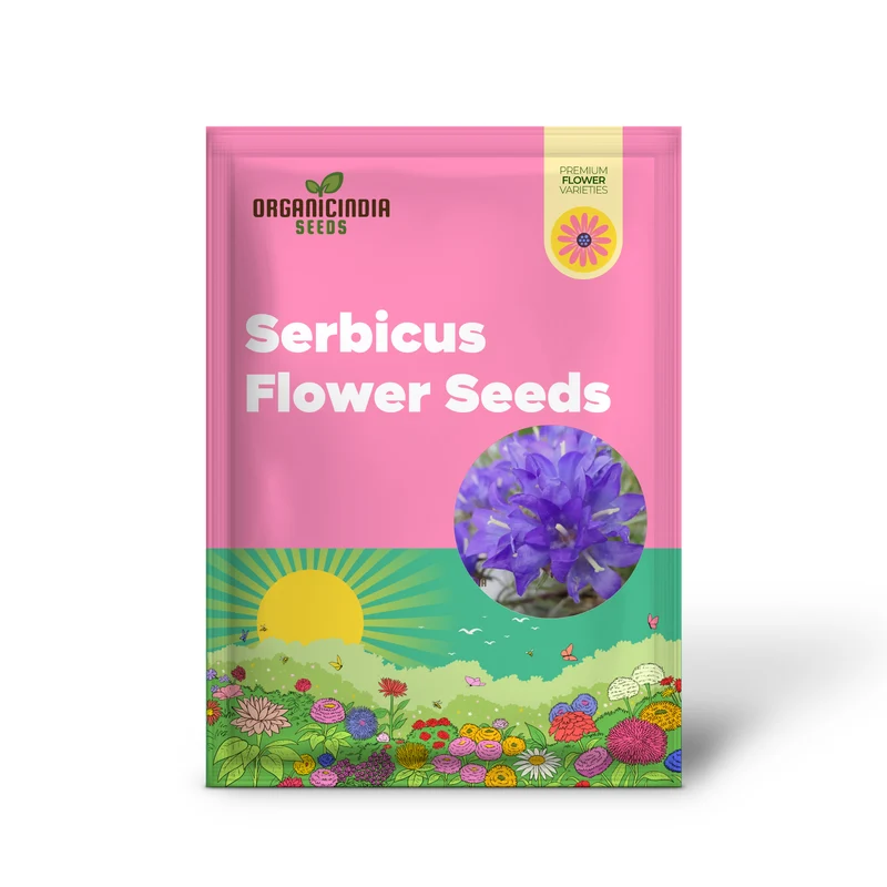 Edraianthus Serbicus Flower Seeds For Planting, Bring Serbian Alpine Beauty to Your Garden