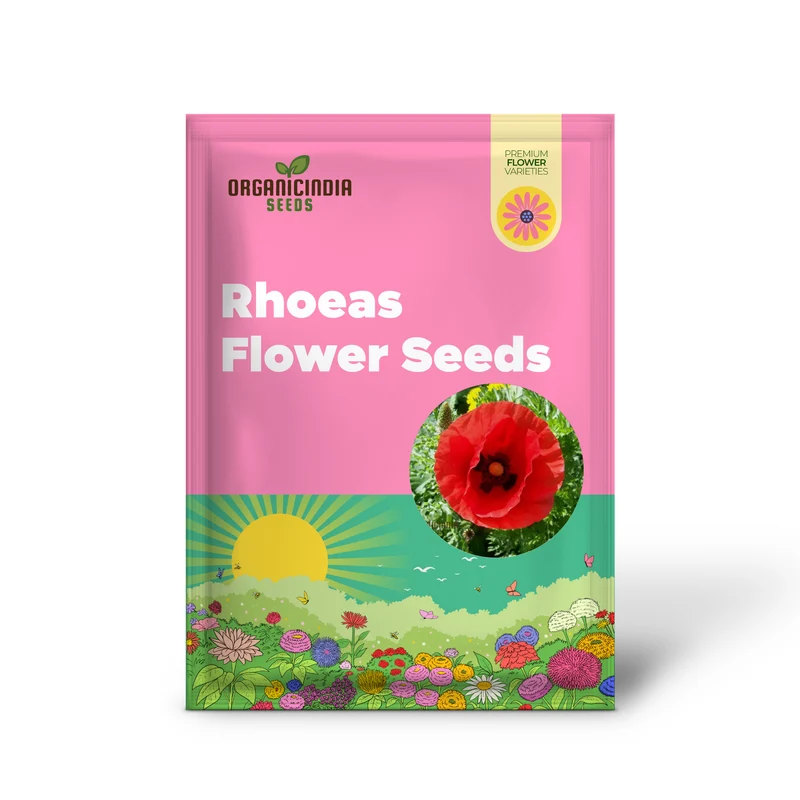 Papaver Rhoeas Seeds for Vibrant Garden Blooms, Annual Wildflower Seeds for Easy Gardening