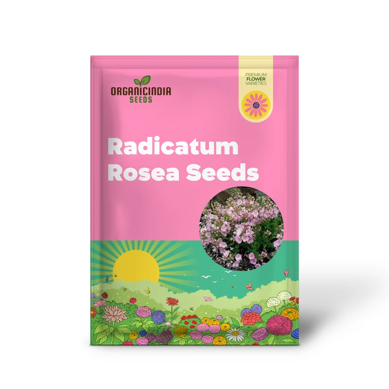 PAPAVER RADICATUM ROSEA Seeds - Exquisite Pink Blossoms for Your Garden Beds and Borders - Easy-to-Grow Perennial Flower Seeds