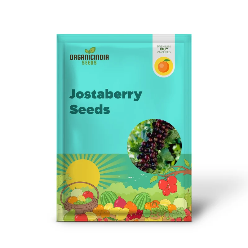 JOSTABERRY Seeds for Vibrant Gardening Enthusiasts | High-Quality Seeds for Your Garden