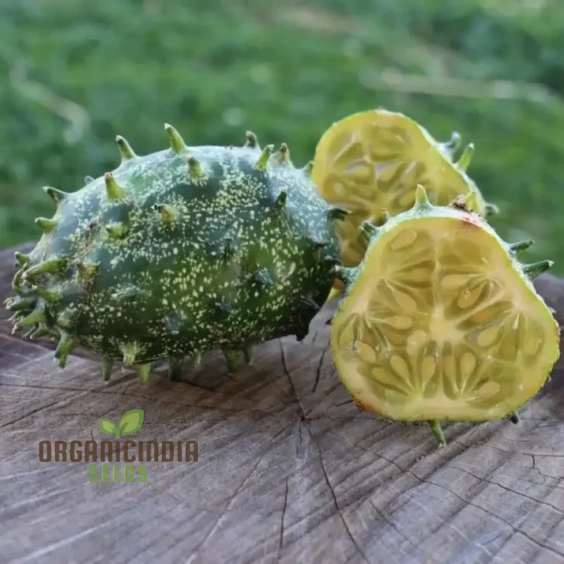 Jelly Melon Cucumber Seeds - Grow Unique and Exotic Jelly Melon Cucumbers for Your Garden