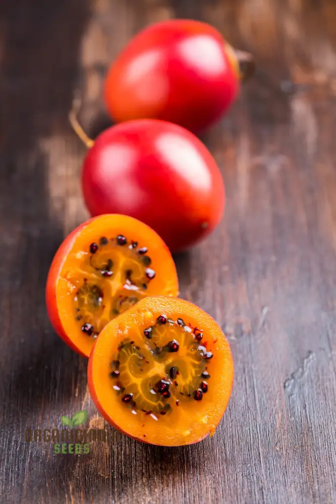 TAMARILLO Seeds for Planting Your Gardening Needs | Buy Seeds Online