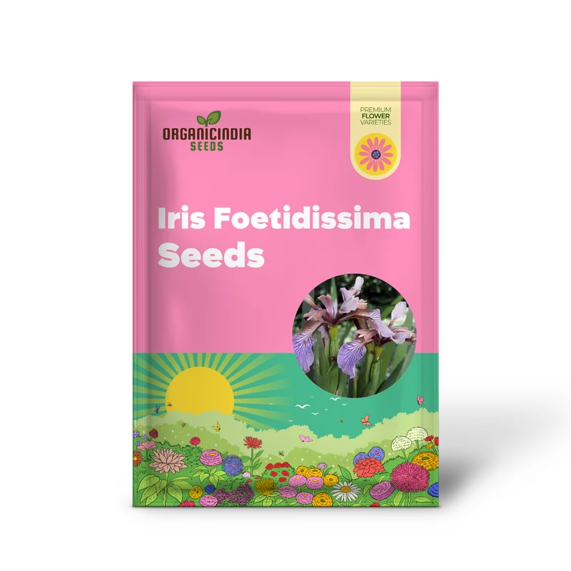 Iris Foetidissima Seeds - Gardening Enthusiast's Choice for Hardy Perennial Beauty