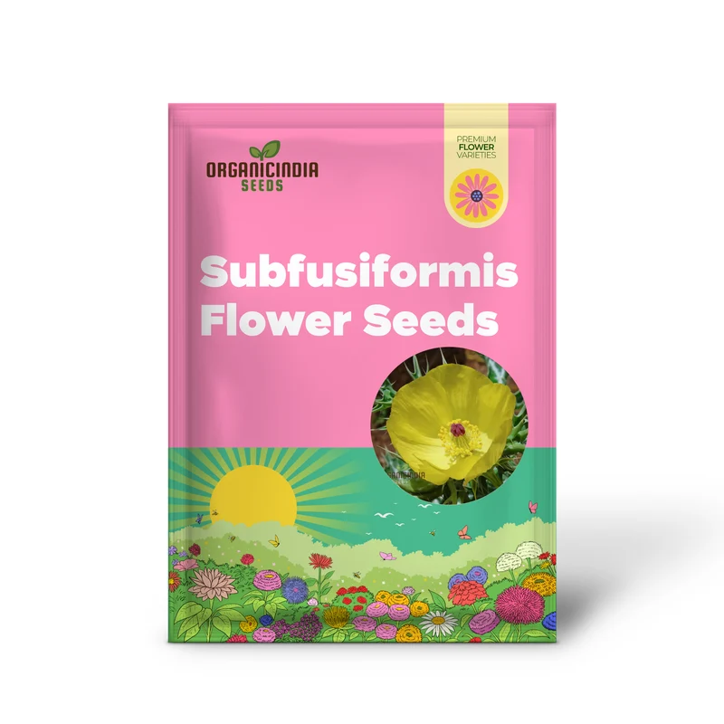 Argemone Subfusiformis Flower Seeds For Planting: Exquisite Gardening Marvel for Discerning Plant Enthusiasts