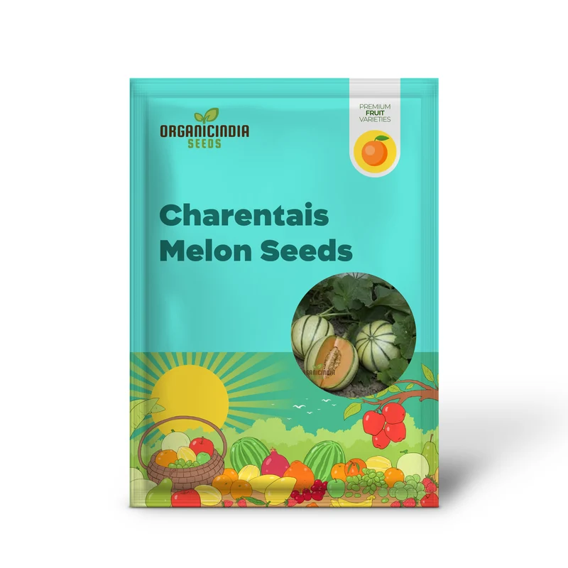 Charentais Melon Seeds for Your Bountiful Garden