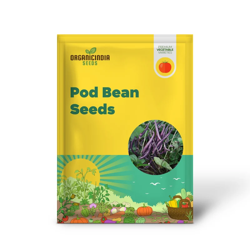 Royalty Purple Pod Bean Seeds For Planting