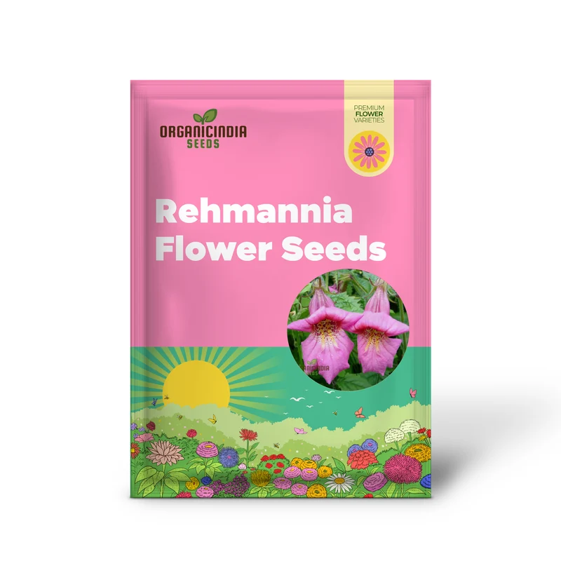 Rehmannia Elata Flower Seeds For Planting, Cultivating Elegant and Hardy Blooms for Your Garden