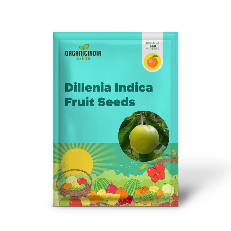 Dillenia indica Fruit Seeds for Planting, Cultivating Unique and Exotic Fruits in Your Garden