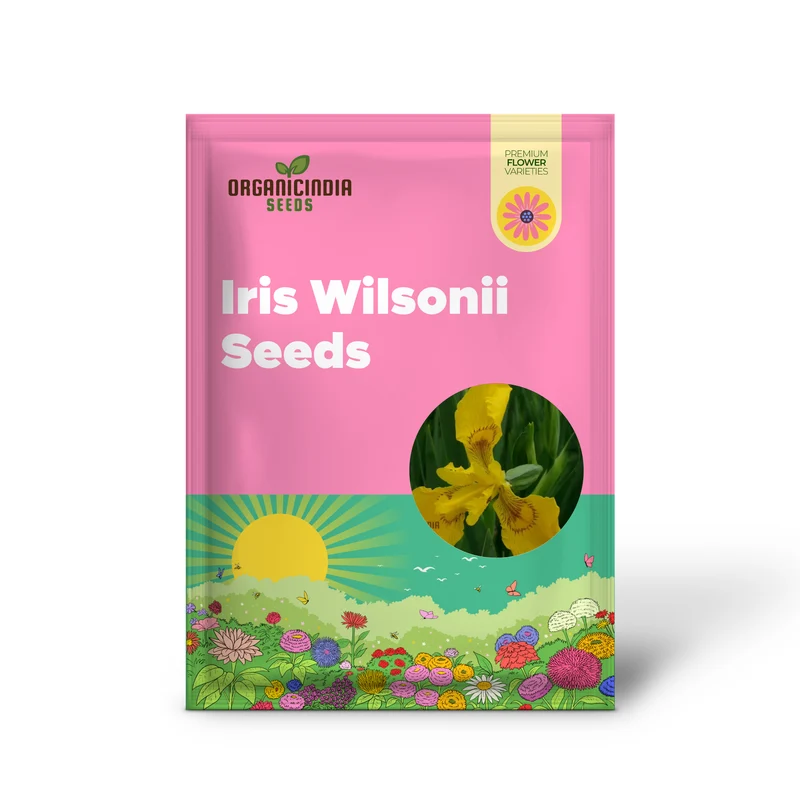 Iris Wilsonii Seeds – Elevate Your Garden with Stunning, Graceful Blooms!