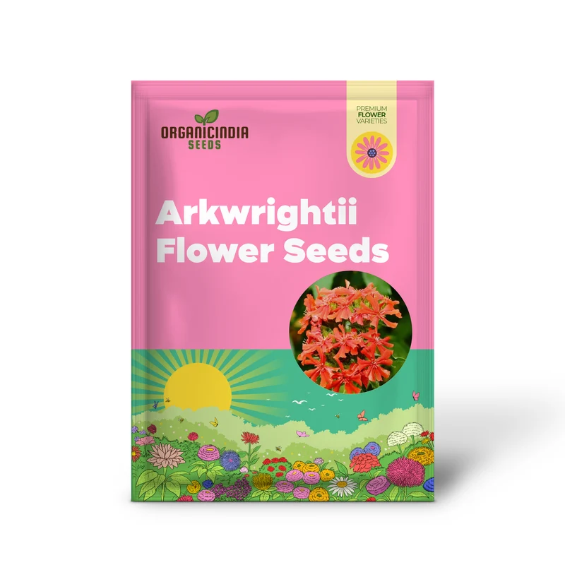Lychnis Arkwrightii Flower Seeds, Vibrant Addition for Your Garden, Premium Garden Seeds