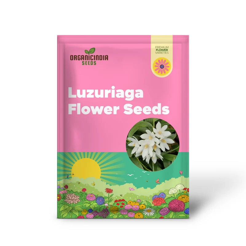 Luzuriaga Radicans Flower Seeds for Planting, Discover Premium Garden Seeds