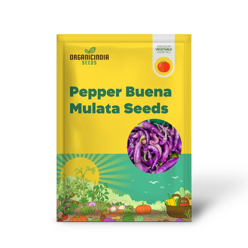 PEPPER BUENA MULATA Seeds for Planting, Your Gardening Needs | Buy Organic Seeds