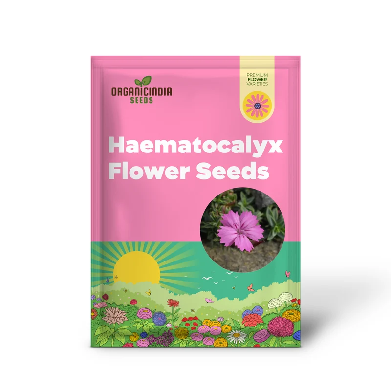 Dianthus Haematocalyx Pindicola Flower Seeds For Planting, Unique and Hardy Blooms for Your Garden