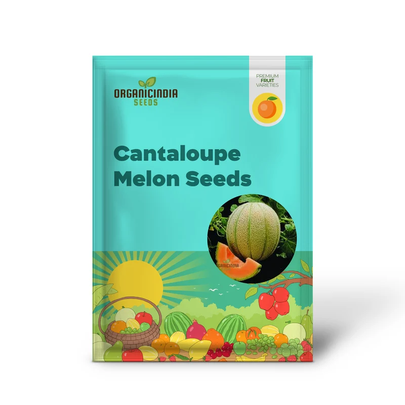 Cantaloupe Melon Seeds for Vibrant Gardening Success