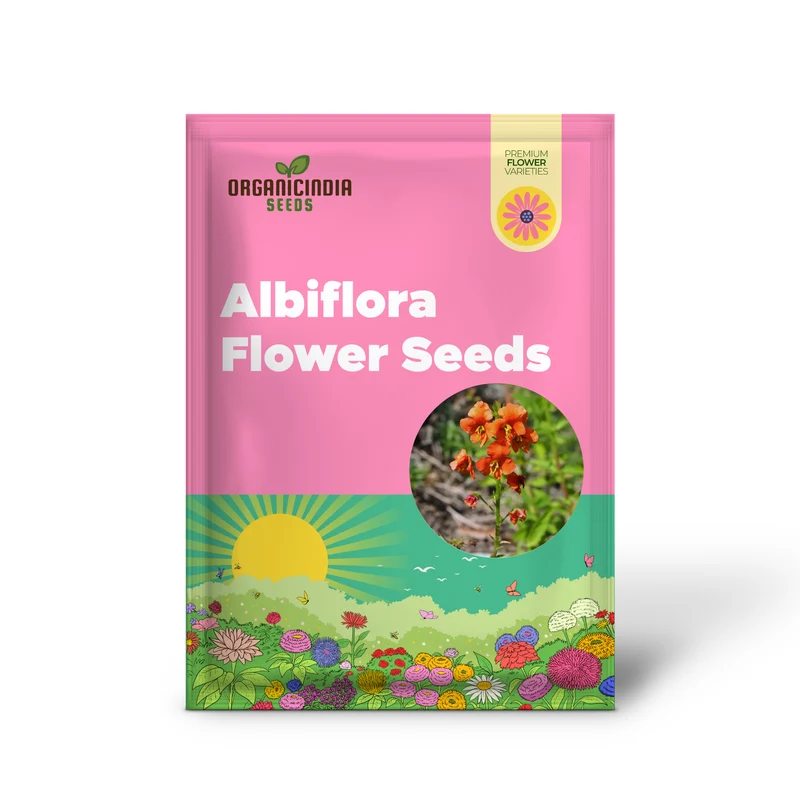 Alonsoa Albiflora Flower Seeds, Premium Quality Seeds for Colorful and Vibrant Gardens