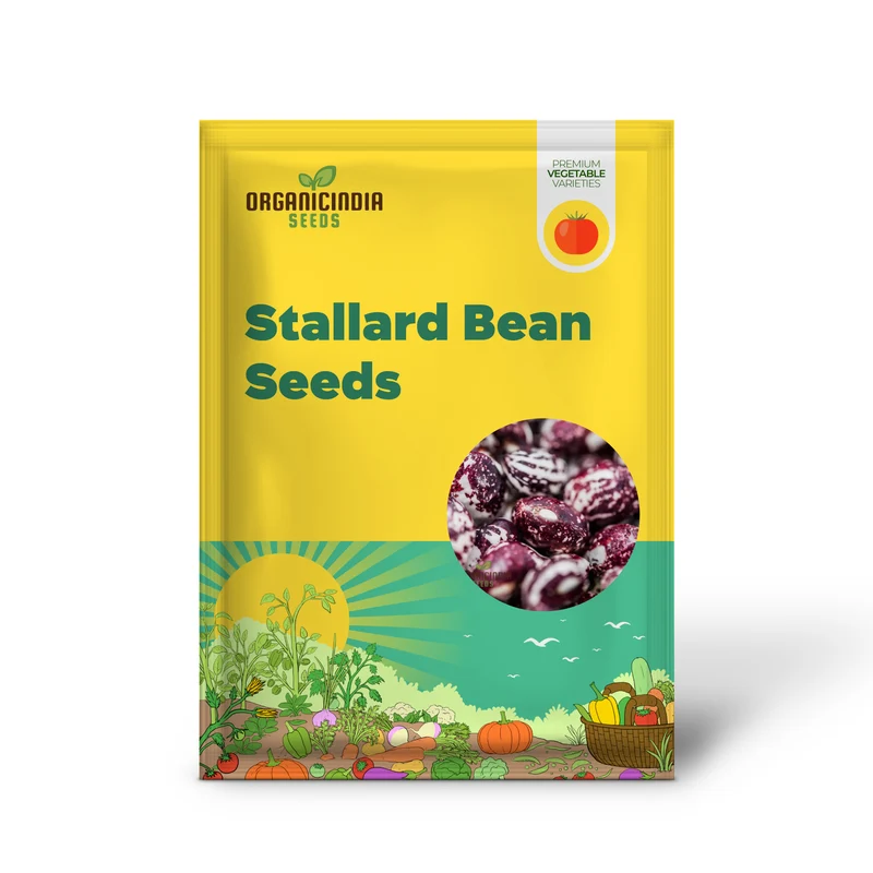 Stallard Bean Seeds For planting: Cultivating Your Green Oasis - Premier Gardening Essentials & Expert Advice