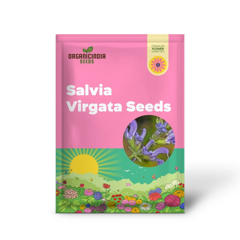 Salvia Virgata Seeds - Premium Gardening Perennials for Beautiful Landscapes and Gardens