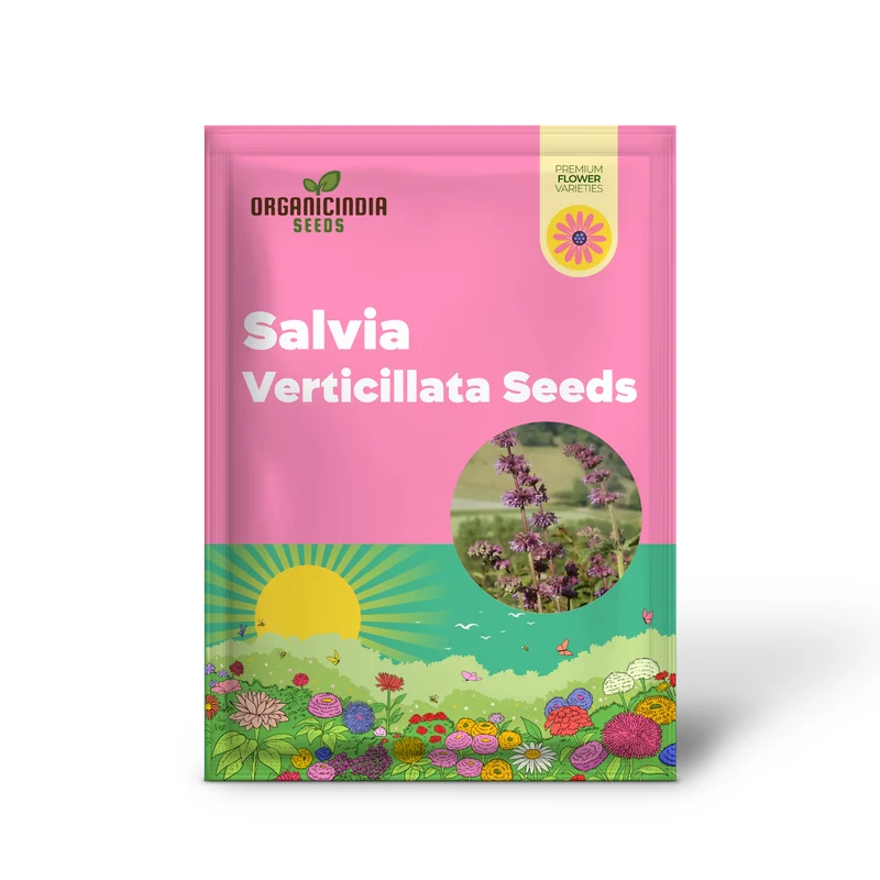 Salvia Verticillata Seeds - Premium Garden Perennial Flower Seeds for Vibrant Blooms | Buy Gardening Seeds Online